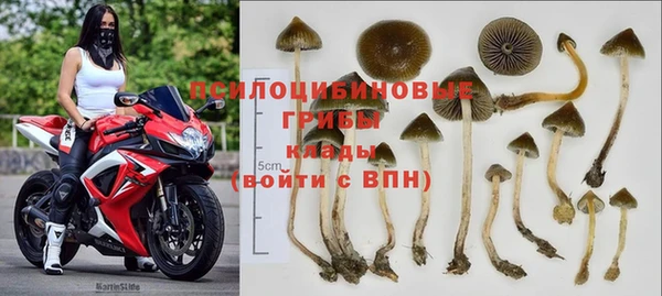 альфа пвп Беломорск
